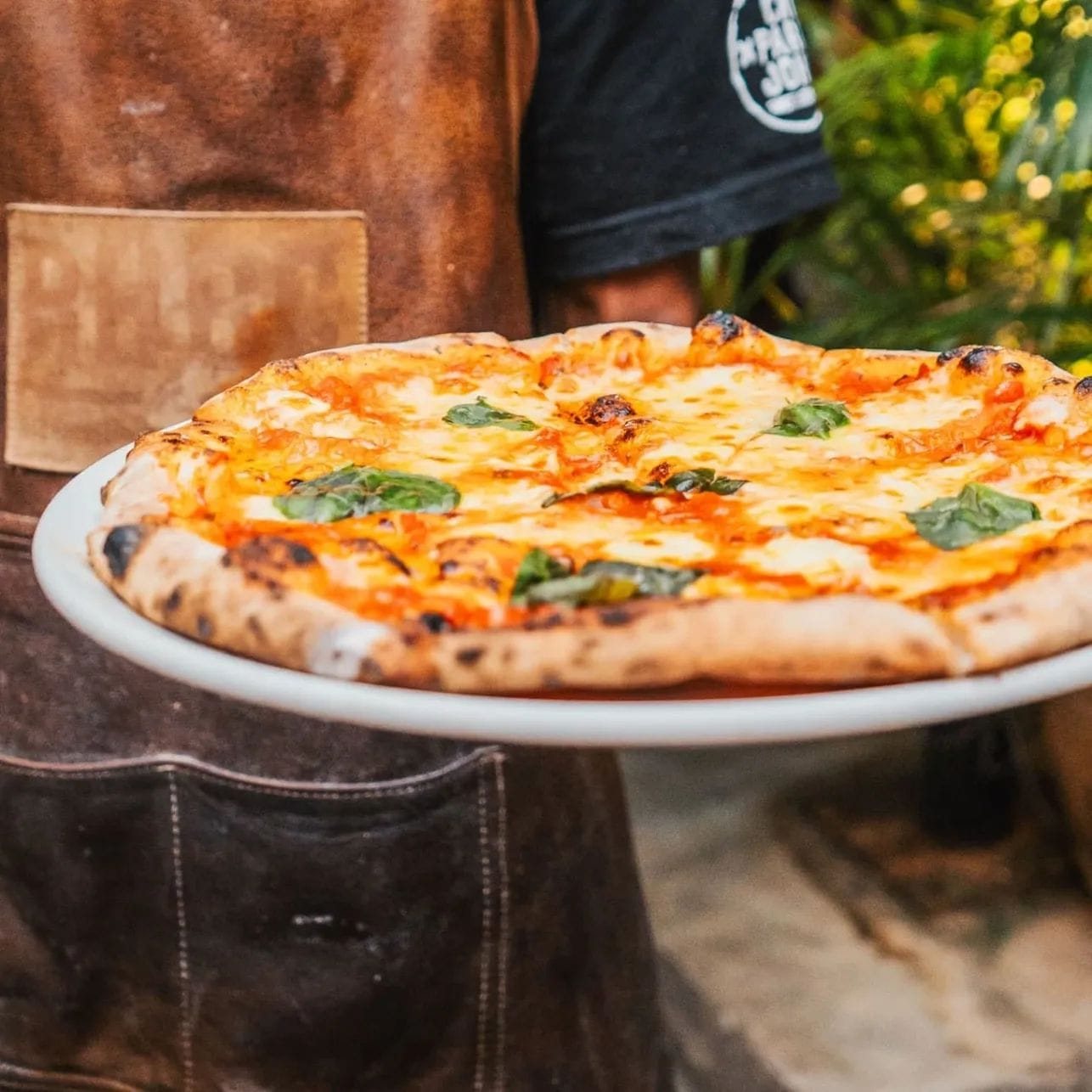 Wood-fired Neapolitan pizza topped with Crafted Dairy fior di latte